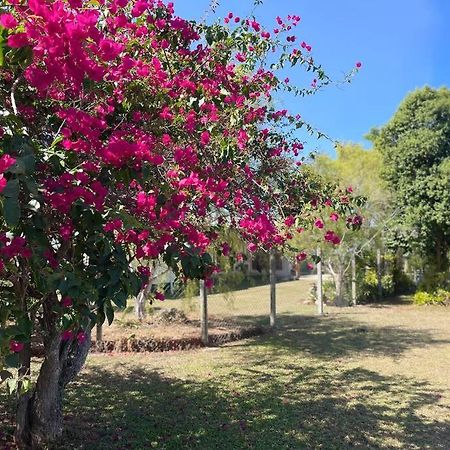 马里巴Cosy Queenslander In The Heart Of Town.别墅 外观 照片