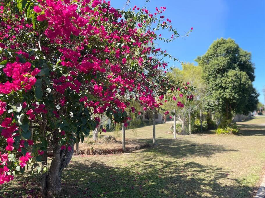 马里巴Cosy Queenslander In The Heart Of Town.别墅 外观 照片